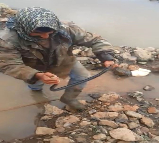 Yılanı Kurtaran Urfalı Çobanların Videosu, Sosyal Medyayı Salladı