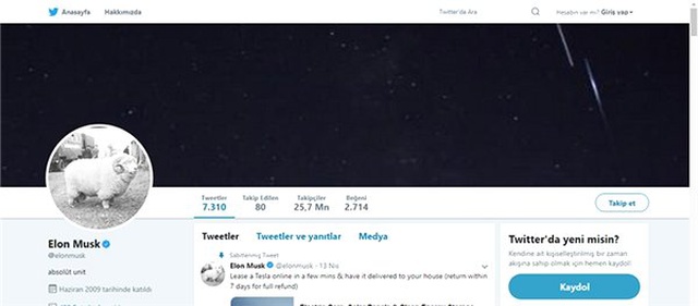 Elon Musk, <a class='keyword-sd' href='/twitter/' title='Twitter'>Twitter</a>'daki Profil Fotoğrafını Koyun Olarak Değiştirdi: İşte Sebebi