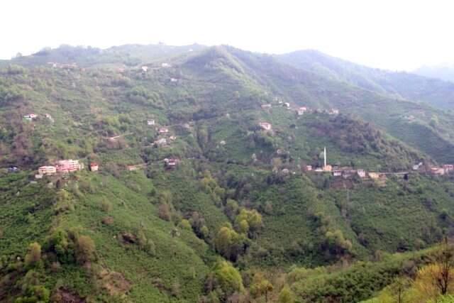 Kemal Sunal'ın Şark Bülbülü Filmi Gerçek Olmuştu! İcralık Köy İçin İptal Davası Açıldı