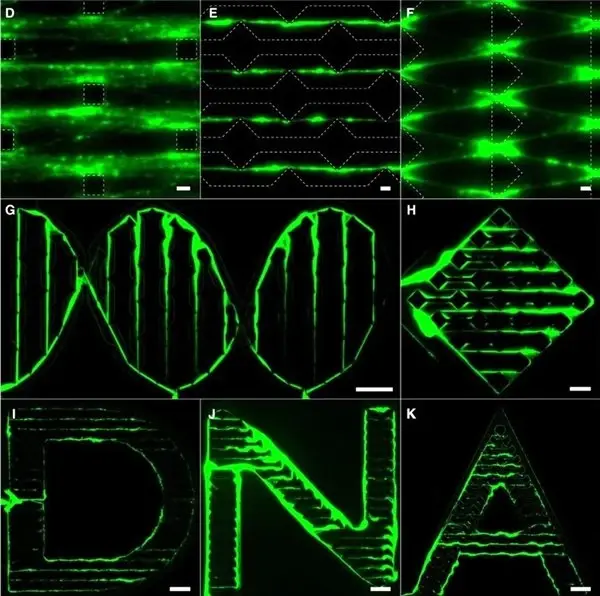Bilim İnsanları, Kendi Kendini Çoğaltabilen Bir Materyal Üretti