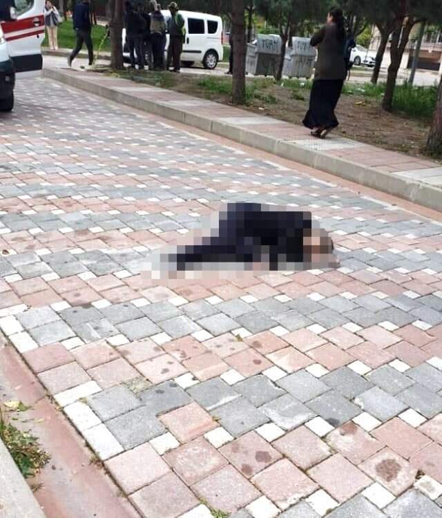 Cinnet Getiren Genç, Kız Arkadaşının Evinde Katliam Yaptı: 3 Ölü Cinnet Getiren Genç, Kız Arkadaşının Evinde Katliam Yaptı: 3 Ölü