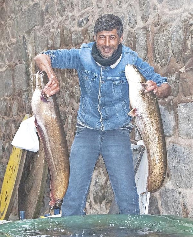 Gece Attığı Ağı Sabah Kontrol Edince Gözlerine İnanamadı
