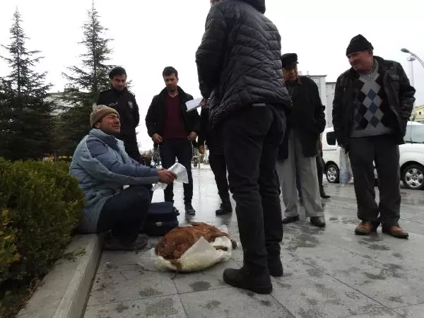 Komşusunun Zehirlediğini Öne Sürdüğü Buzağısına Otopsi Yapılmasını İstedi