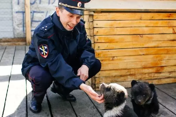 Polisi Harekete Geçiren İhbar: Otelinde 2 Yavru Ayı Beslemiş!