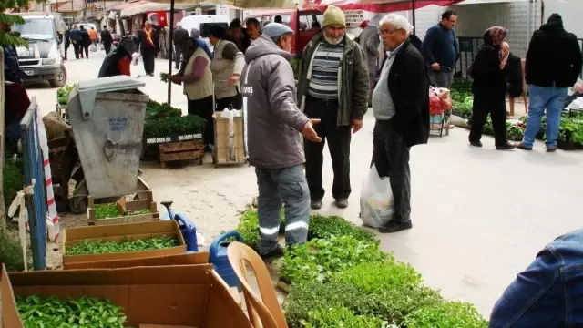 Sebze ve Meyve Fiyatları El Yakınca Fide Satışlarında Patlama Oldu