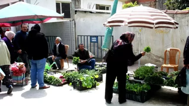 Sebze ve Meyve Fiyatları El Yakınca Fide Satışlarında Patlama Oldu