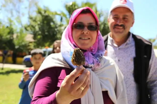 Altın Değerinde Mantar! Kilosu Bin Liradan Satılıyor