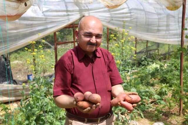 Şeker Hastası Annesi İçin Kırmızı Patates Yetiştirdi Şeker Hastası Annesi İçin Ürettiği Patates Gelir Kapısı Oldu! Kilosunu 20 TL'ye Satıyor