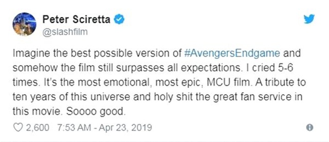 Avengers: Endgame'i Önceden İzleyenlerin Heyecanınızı 5 Kat Arttıracak Ortak Yorumu