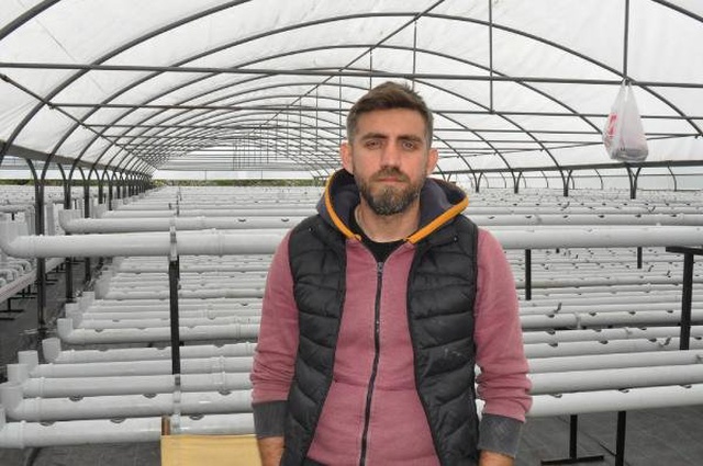 Sadece Suyla Marul Yetiştiriyor! 45 Günde 20 Bin Ürün Elde Ediyor