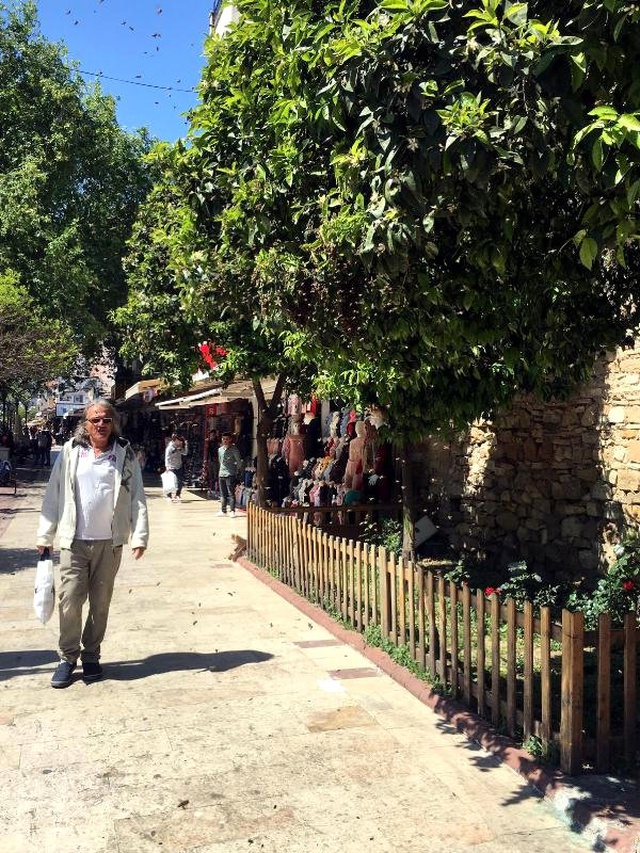 Cadde Üzerindeki Ağaca Oğul Veren Bal Arıları Tedirgin Etti