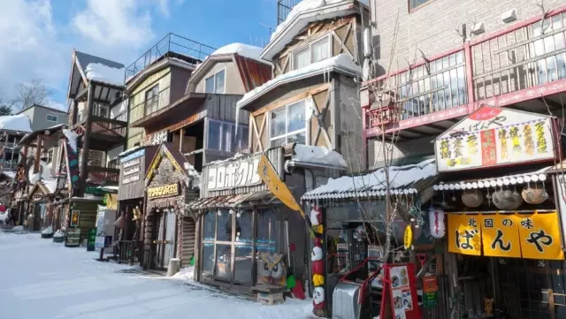 Japonya'da Etnik Azınlık Olarak Resmen Tanınan Aynular Kimler, Talepleri Ne?