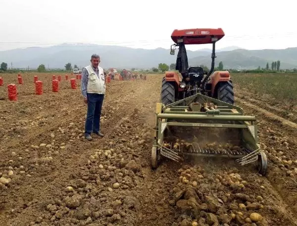 Patates Üreticileri: Fiyat 2,5 Liranın Altına Düşerse Zarar Ederiz