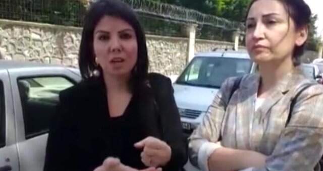 Anne ve Yavru Kediler Öldürülmüş Halde Bulundu İstanbul'da Anne Kedi ve Yavruları Öldürülmüş Halde Bulundu