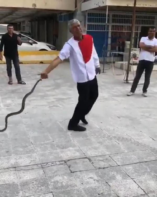 Borçlarını Tahsil Edemeyen Zeytinyağı Satıcısı, Kendisini Yılana Isırtıp Baygınlık Geçirdi