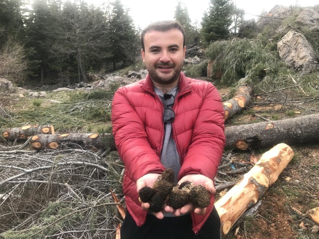 Kuzugöbeği Mantarının Kilosu 100 Liradan Satılıyor