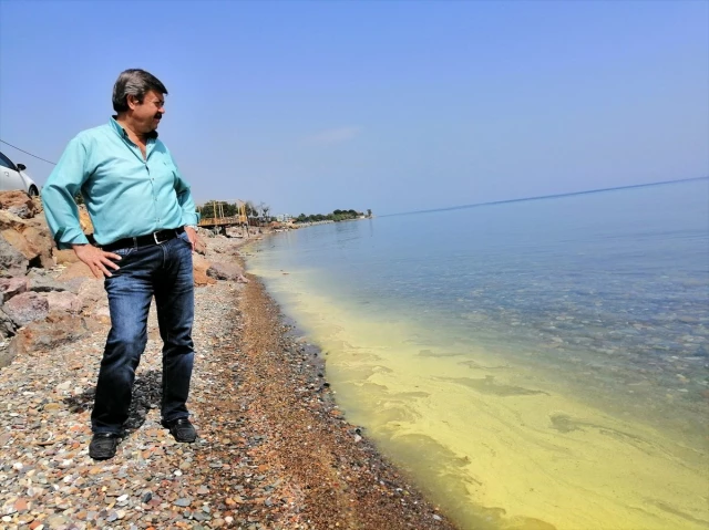Çanakkale'nin Ayvacık Sahilinde Denizin Rengi Değişti