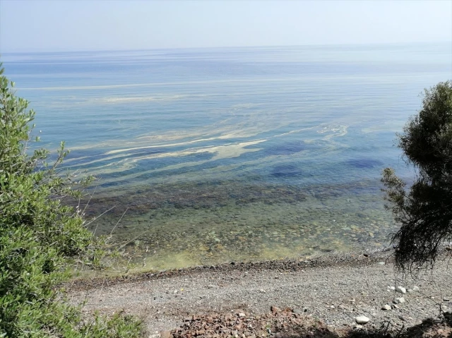 Çanakkale'nin Ayvacık Sahilinde Denizin Rengi Değişti