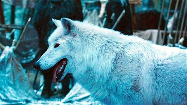 Game Of Thrones'un Yeni Bölüm Fragmanında Bir Karakterin Kaderi Ortaya Çıktı (Spoiler)