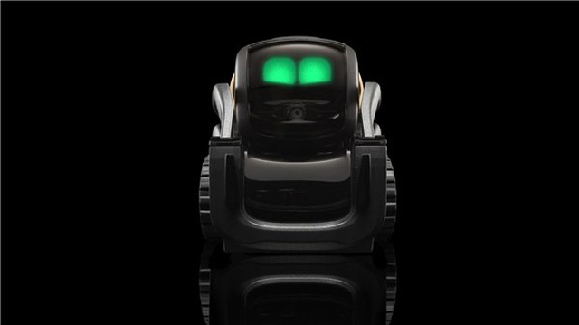 Akıllı Ev Robotları Üreten Yapay Zekalı Anki Kapanıyor