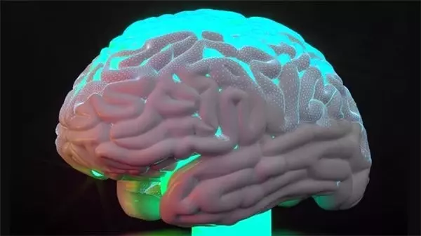 Alzheimer Çalışmalarında Yeni Ufuklar Açacak Bir Bunama Türü Keşfedildi