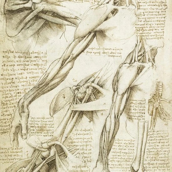 Leonardo da Vinci: Ölümünün 500. Yılında İcatları Zamana Meydan Okuyan Deha