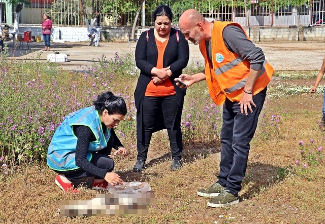 Beslediği Sokak Kedilerine Mama Vermeye Gelen Hayvansever, Hayatının Şokunu Yaşadı