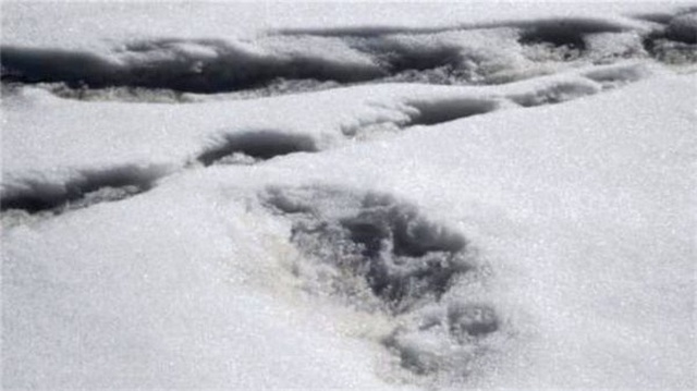Hindistan Ordusunun 'Yeti' Keşfine Nepal'den Yanıt: