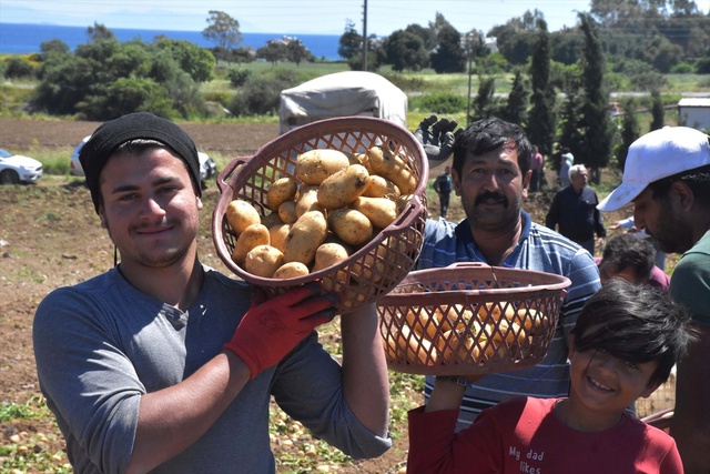 Tarlada 3,5-4 Liradan Satılıyor! Patates Üreticileri Tarih Verdi, Fiyatlar Düşecek