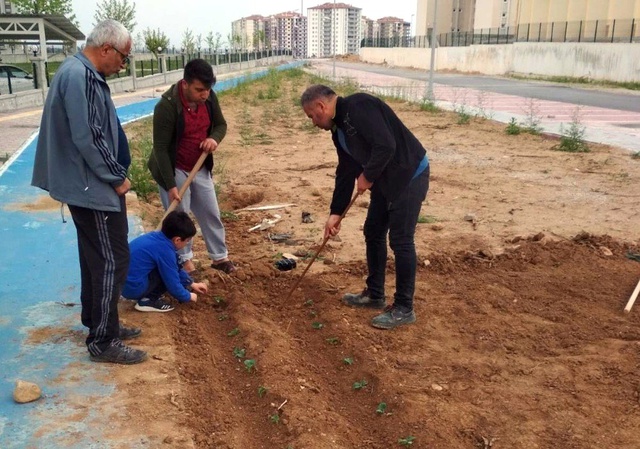 Fiyatlar Alıp Başını Gidince Vatandaş Çareyi Sebze Ekmekte Buldu