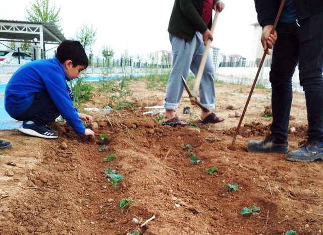 Fiyatlar Alıp Başını Gidince Vatandaş Çareyi Sebze Ekmekte Buldu