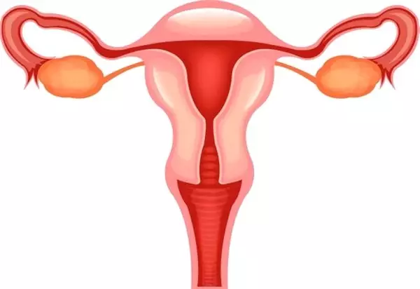 İnsan Anatomisinde Alışılmışın Dışında Gelişen 5 Farklı Özellik