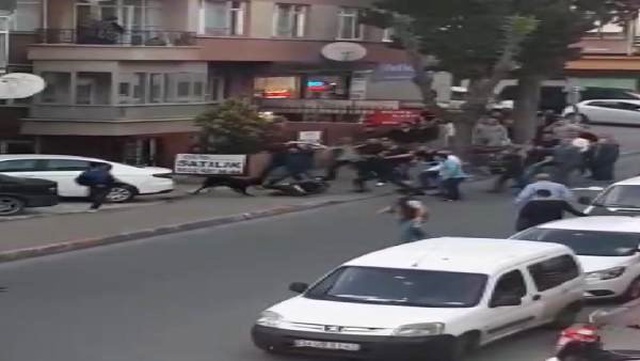 Maltepe'de Köpek Dehşeti: 3 Kişi Yaralandı