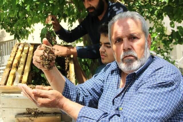 Firar Eden Arılar Mahalleyi İstila Etti! Esnaf Nereye Kaçacağını Şaşırdı