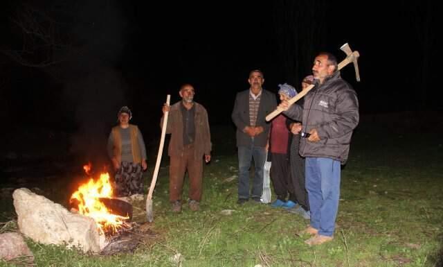 Ayı Korkusu Köylülere Kazma Kürekle Nöbet Tutturdu