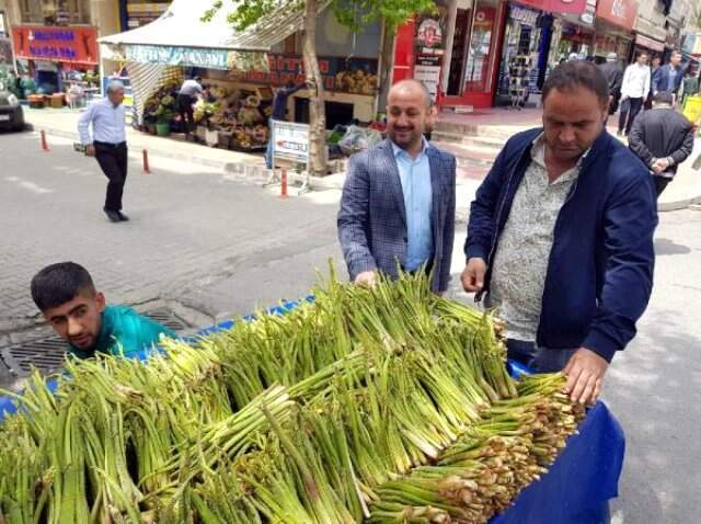 Işgın Bitkisi Köylülerin Geçim Kaynağı Oldu