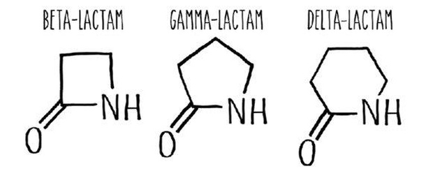 Direkt Evrim Yöntemi, Yeni Antibiyotiklerin Geliştirilmesine Olanak Sağlıyor