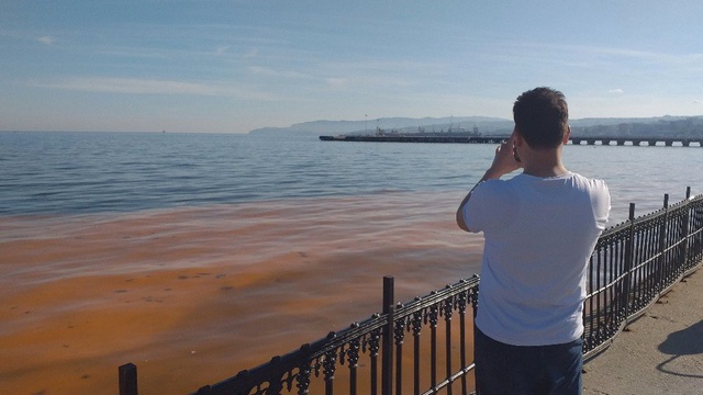 Marmara Denizi'ndeki Gizemli Olayın Sırrı Çözüldü!