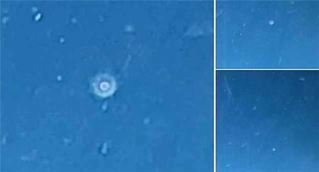 THY Pilotu, Gökyüzünde Gördüğü Garip Cismin Görüntülerini Paylaştı (Video)