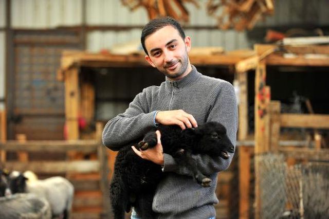 Gazeteciliği Bıraktı, Çoklu Doğum Yapan Koyun Yetiştiriyor