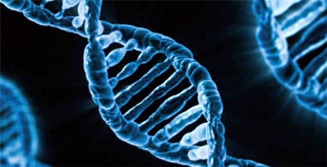 ODTÜ'lü Araştırmacılar Dna'nın Müziğini Ortaya Çıkardı