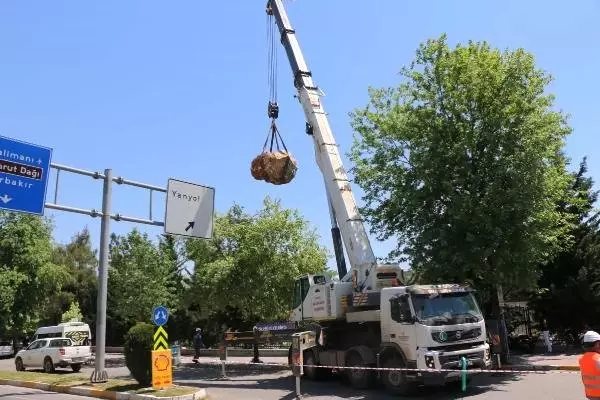 8 Tonluk Kayada Roma Dönemine Ait Figür Bulundu, Görenler Hemen Yetkililere Haber Verdi