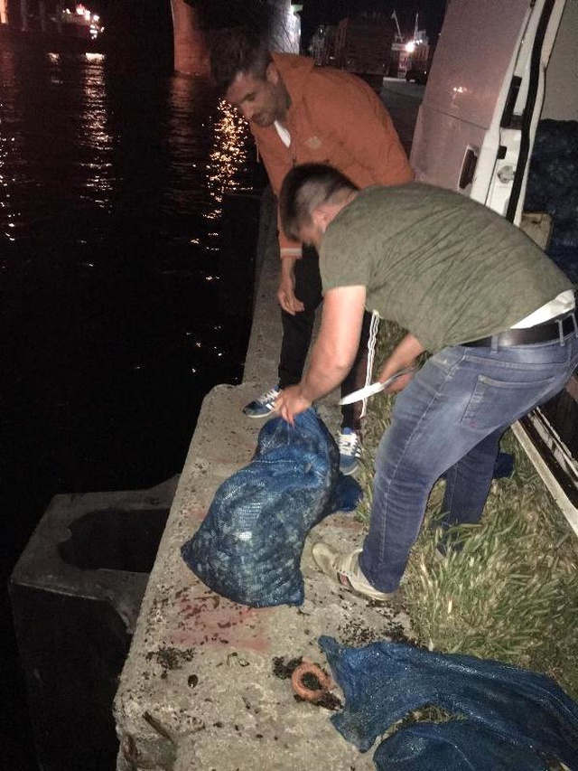 Kovalamaca Sonucu Durdurulan Araçtan 1,2 Ton Kaçak Midye Çıktı