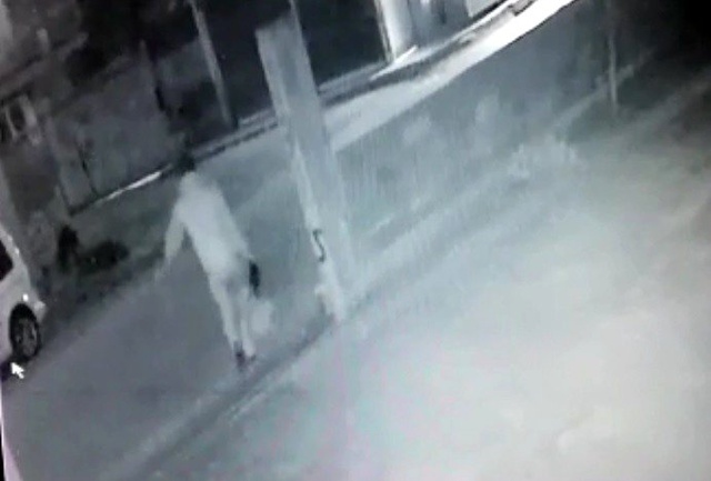 Kamera Kayıttaydı! Spor Çantasıyla 18 Tavuğu Böyle Çaldı