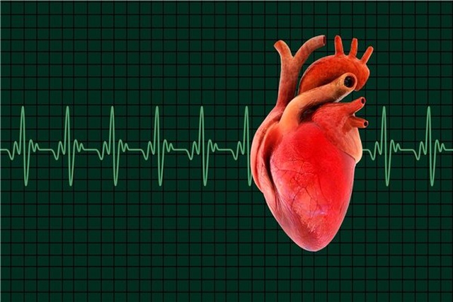 Kemiklere Destek İçin Kullanılan Bir Maddenin Kalbe Faydalı Olduğu Ortaya Çıktı