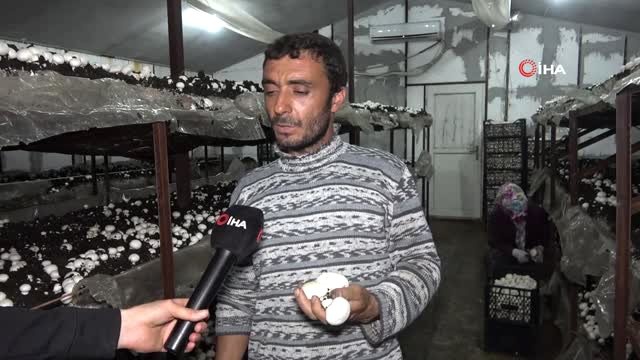 Kırıkkaleli Çiftçi Yılda 220 Ton Üretip, Kilosunu 8 Liradan Satıyor