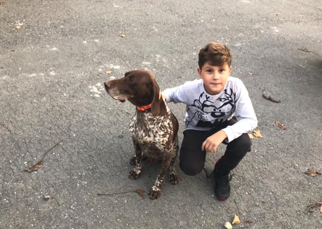 İstanbul'da Salyangoz Zehri Döküldü! 1 Köpek Telef Oldu 2 Köpek Yaralı