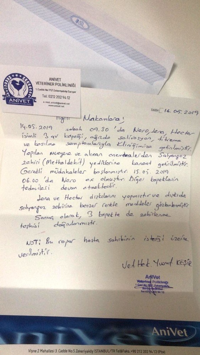 İstanbul'da Salyangoz Zehri Döküldü! 1 Köpek Telef Oldu 2 Köpek Yaralı