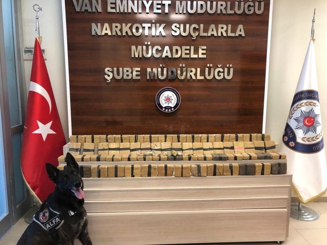 Kokusunu Soğanla Engellemek İstediler Ama Alfa'yı Kandıramadılar
