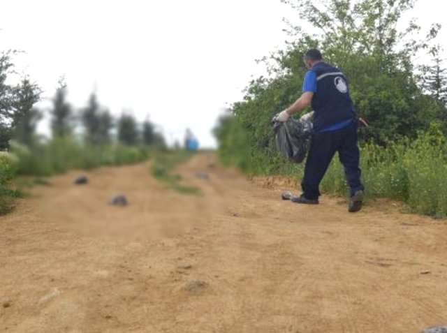 Ankara'da Yol Kenarında Telef Olmuş 40 Çinçilla Bulundu